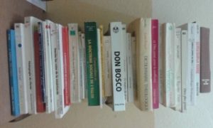 Togo : Missionnaires Serviteurs de l'Évangile de la Miséricorde de Dieu